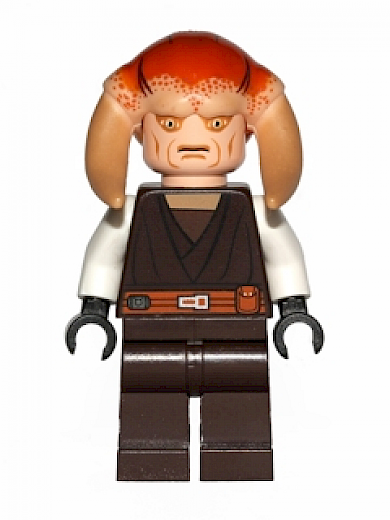 Saesee Tiin — Saesee Tiin - Dark Brown Robe, White Arms, Large Eyes